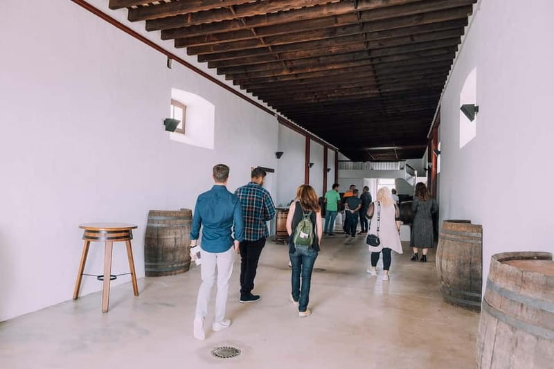 Lanzarote: Sunset vineyard tour with wine and chocolate tasting - The 40-minute wine and chocolate tasting