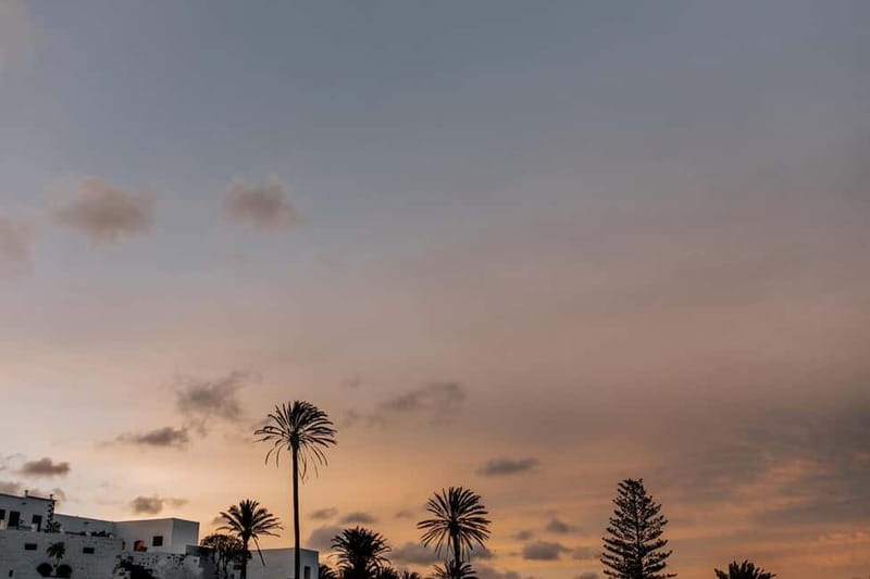 Lanzarote: Sunset vineyard tour with wine and chocolate tasting - Who will enjoy Finca Testeina most