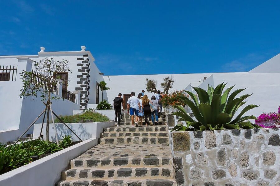 Lanzarote: Vineyard Tour with Wine and Chocolate Tasting - Key points before you book