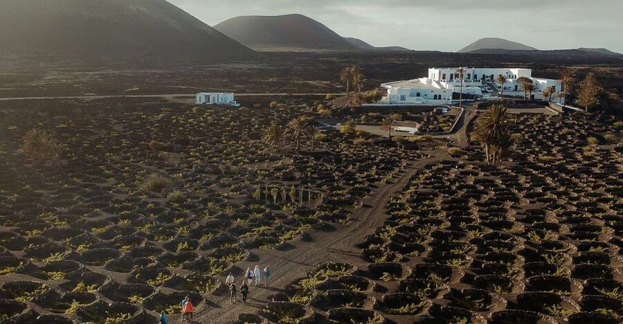 Lanzarote: Vineyard Tour with Wine and Chocolate Tasting - Why Lanzarote’s vineyards look so unusual