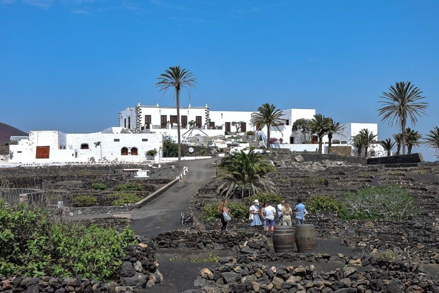 Lanzarote: Vineyard Tour with Wine and Chocolate Tasting - Malvasía Volcánica and Listán Negro