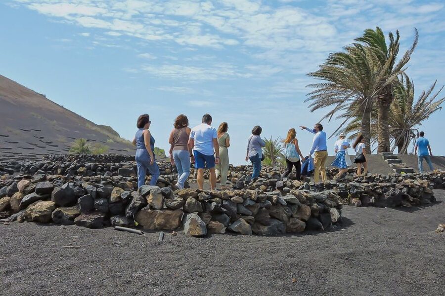 Lanzarote: Vineyard Tour with Wine and Chocolate Tasting - What makes the $28 price worthwhile
