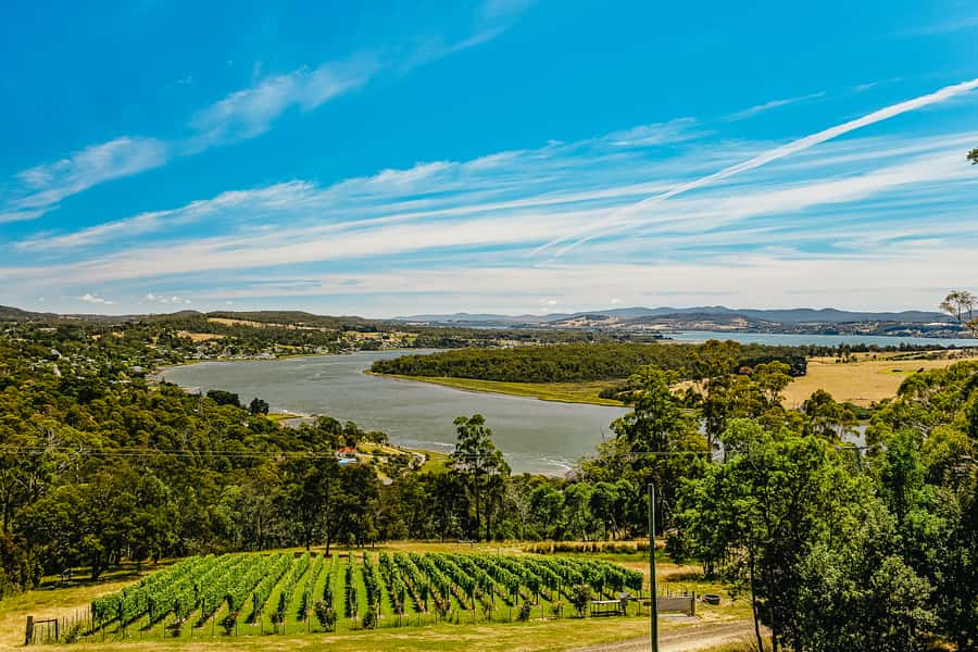 Launceston: Tamar Valley Wine Tour with Lunch - Why the Tamar Valley makes a good wine day from Launceston