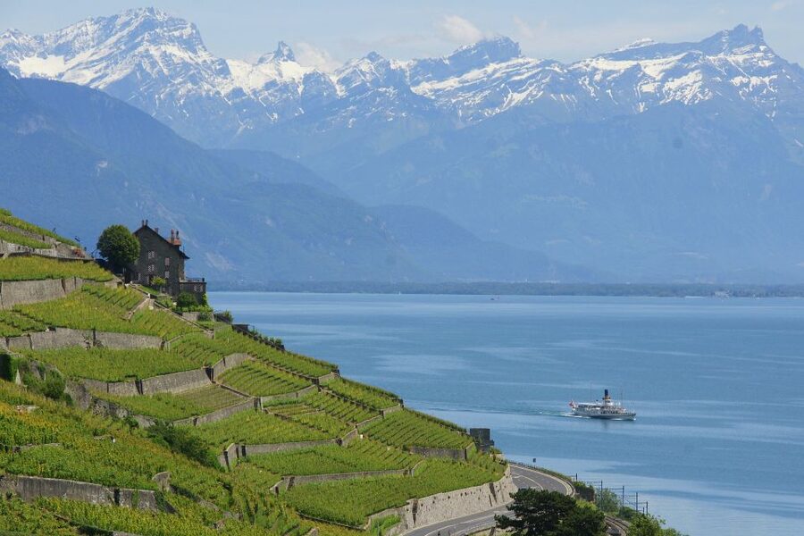 Lausanne: 2-Hour Lake Geneva Cruise Along Lavaux Vineyards - Starting at Lausanne Ouchy