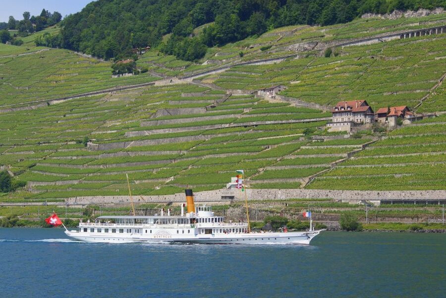 Lausanne: 2-Hour Lake Geneva Cruise Along Lavaux Vineyards - What to expect at Rivaz, Cully, Lutry, and Pully