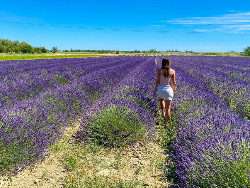 Lavender Field & Distillery Tour between Nimes & Arles - The perfume bar turns smelling into a lesson