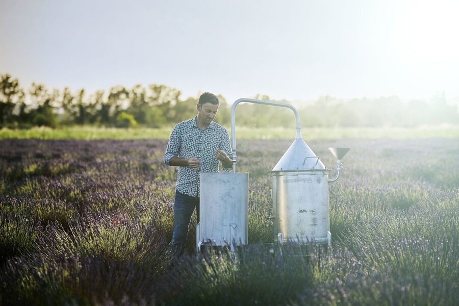 Lavender Field & Distillery Tour between Nimes & Arles - The best season for lavender