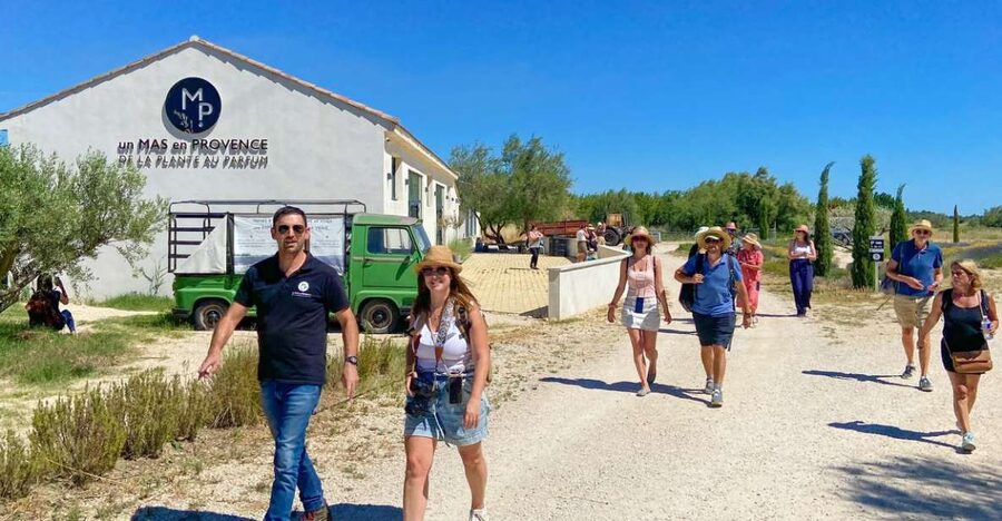 Lavender Field & Distillery Tour between Nimes & Arles - What happens during the one-hour visit