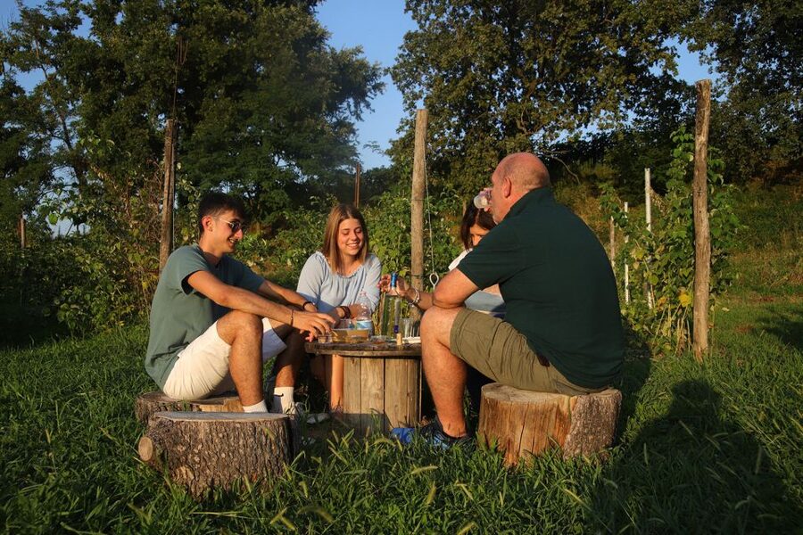 Lazise: Beekeeping Farm Tour and Tasting Experience - A farm visit with bees at the center