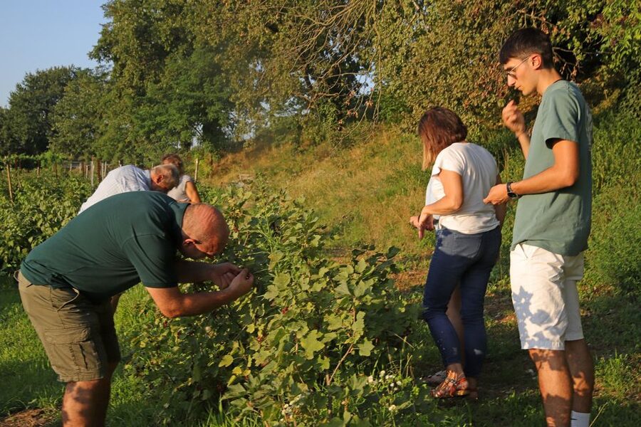 Lazise: Beekeeping Farm Tour and Tasting Experience - Why the family element works
