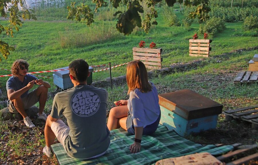 Lazise: Beekeeping Farm Tour and Tasting Experience - What happens if the weather turns wet