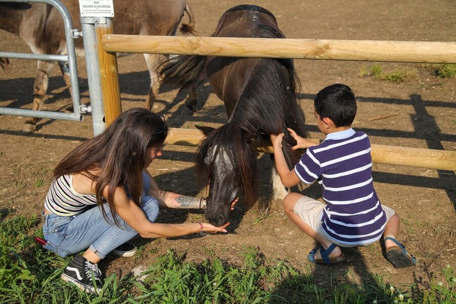 Lazise: Biodynamic Farm Tour and Natural Wine Tasting - Key points at a glance