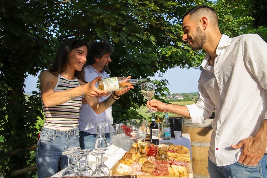 Lazise: Biodynamic Farm Tour and Natural Wine Tasting - Walking through the vineyard, gardens, and animal areas