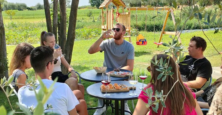 Lazise: Wine Tasting with Charcuterie and Cheese Board - A small family farm away from Lake Garda’s crowds