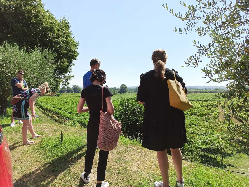 Lazise: Winery Tour with Garda Wines and Food Tasting - Starting at Bergamini Vini near Lazise