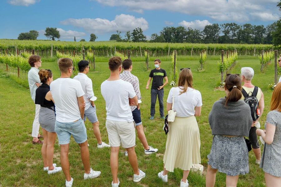Lazise: Winery Tour with Garda Wines and Food Tasting - FAQ