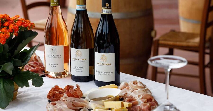 Lazise: Winery Tour with Garda Wines and Food Tasting - Walking among the vines