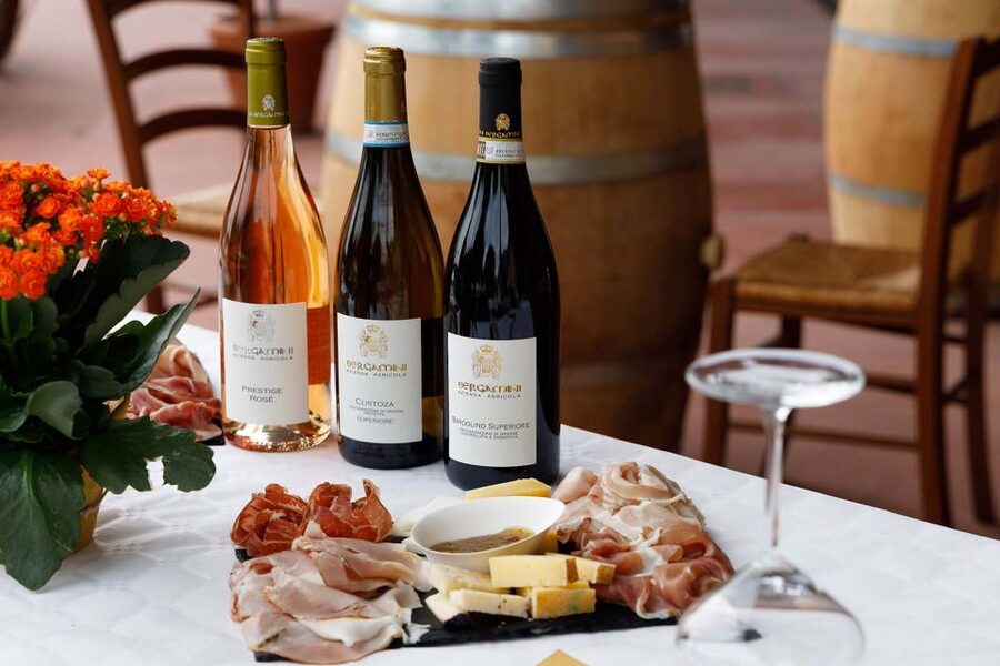 Lazise: Winery Tour with Garda Wines and Food Tasting - Tasting Bardolino, Chiaretto, and Custoza