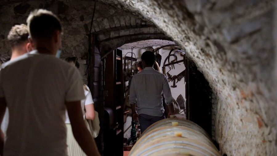 Lazise: Winery Tour with Garda Wines and Food Tasting - Why $49 offers solid value
