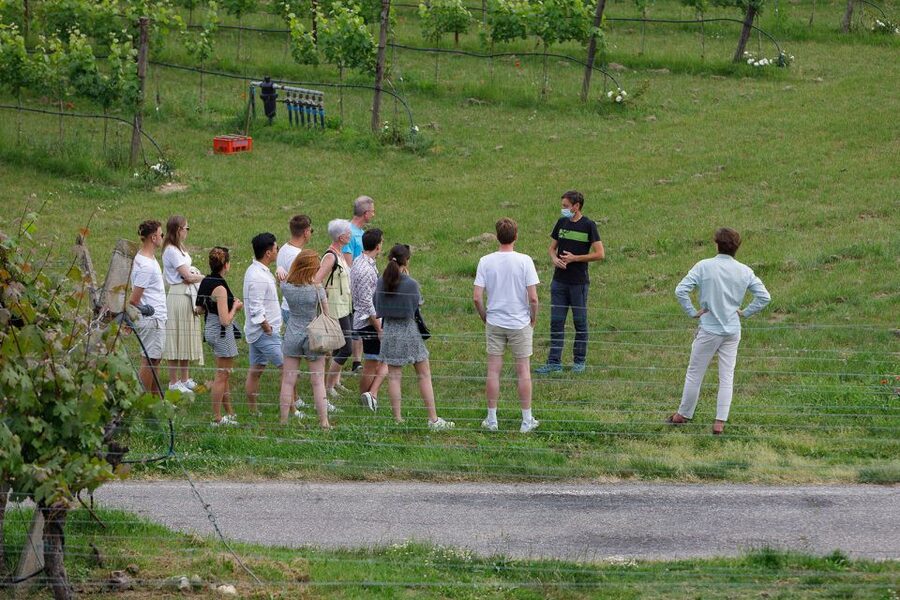 Lazise: Winery Tour with Garda Wines and Food Tasting - Who will enjoy this winery visit most