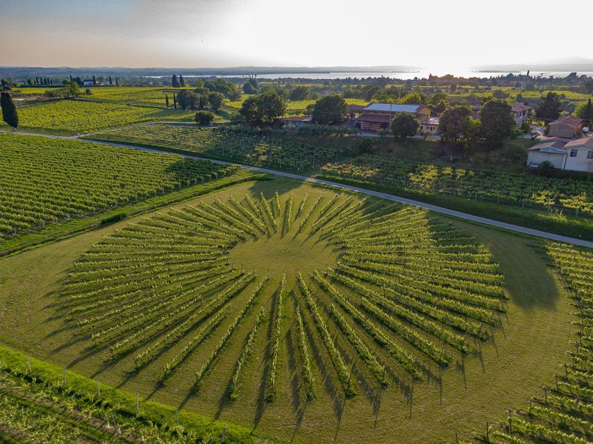 Lazise: Winery Tour with Garda Wines and Food Tasting - Final verdict: book it for the full local picture