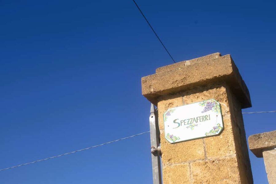 Lecce: Countryside Vineyard Walk & Wine Tasting - A countryside visit, not just a wine tasting