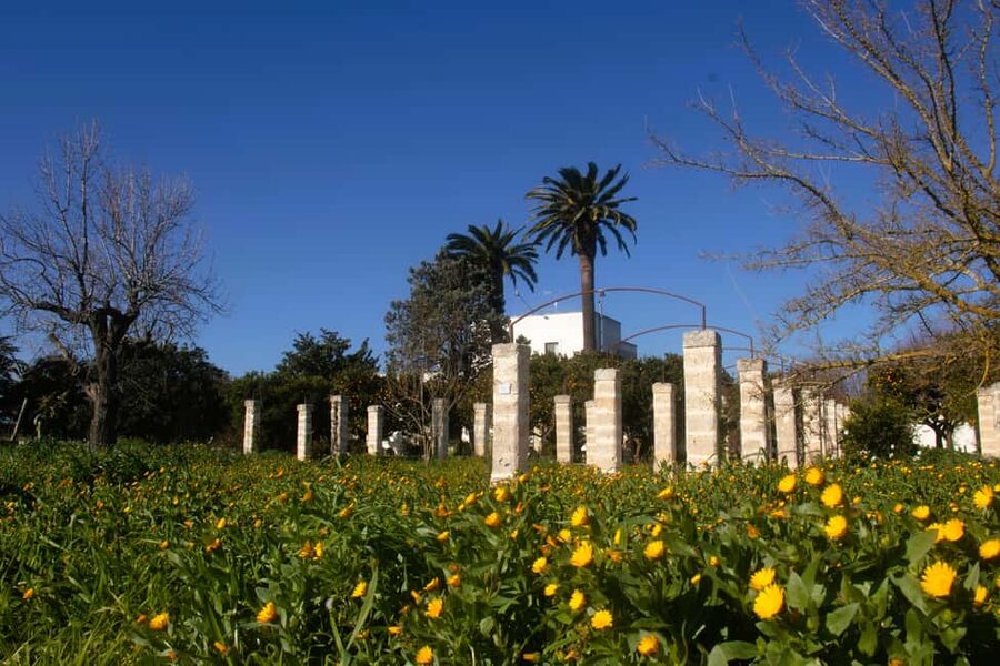 Lecce: Countryside Vineyard Walk & Wine Tasting - Walking among Salento’s native grapes