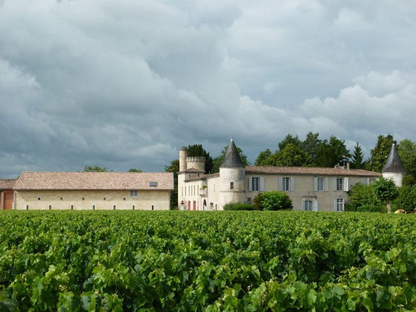 Libourne: Winery Tour with Wine and Chocolate Tasting - English, French, and the pace of the visit