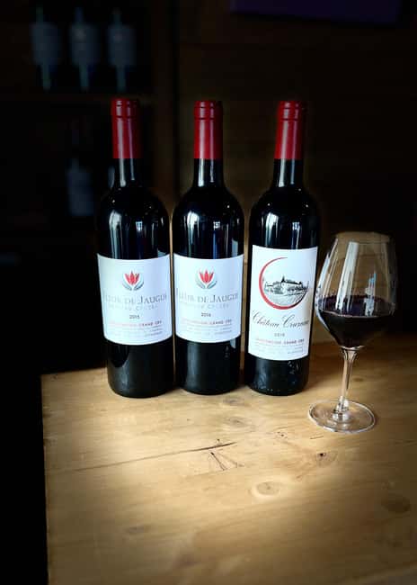 Libourne: Winery Tour with Wine and Chocolate Tasting - Small drawbacks worth knowing