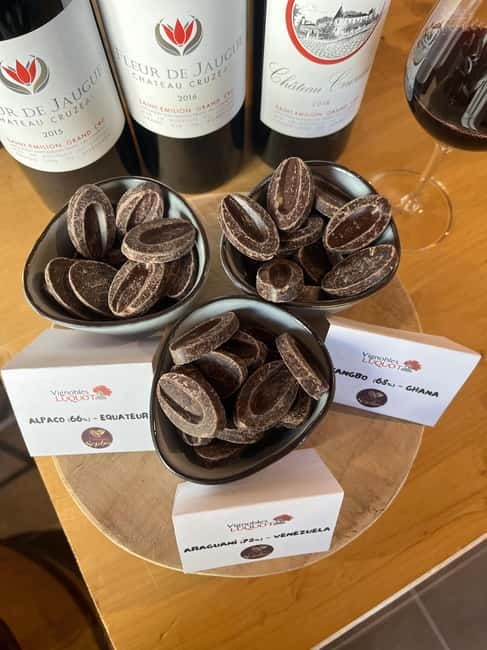Libourne: Winery Tour with Wine and Chocolate Tasting - Walking the vineyard and reading the soil