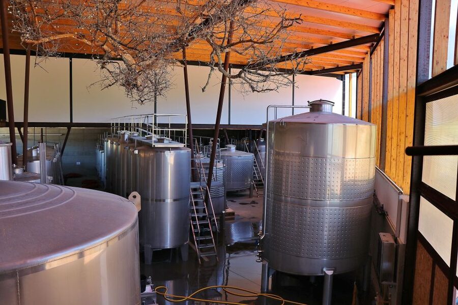 Lisbon Private Setúbal Region Wine Tasting Tour - Transport, timing, and practical comfort