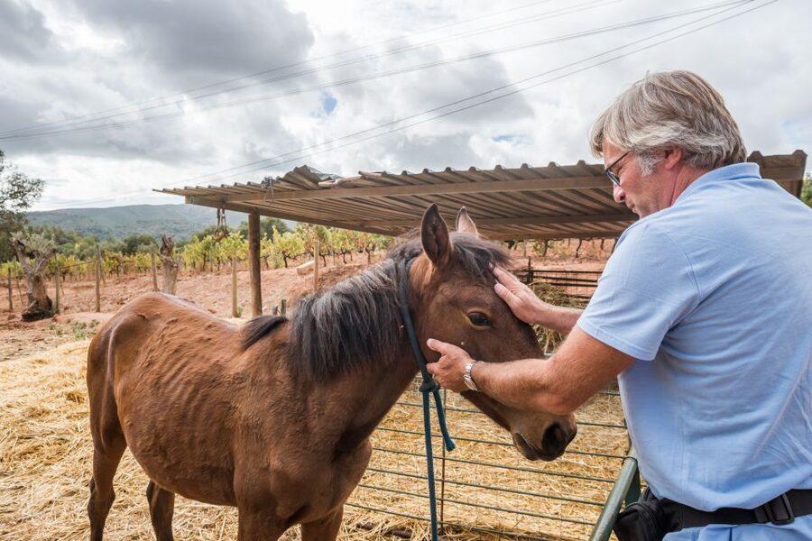 Lisbon Private Setúbal Region Wine Tasting Tour - Quinta do Alcube and the farm side of winemaking