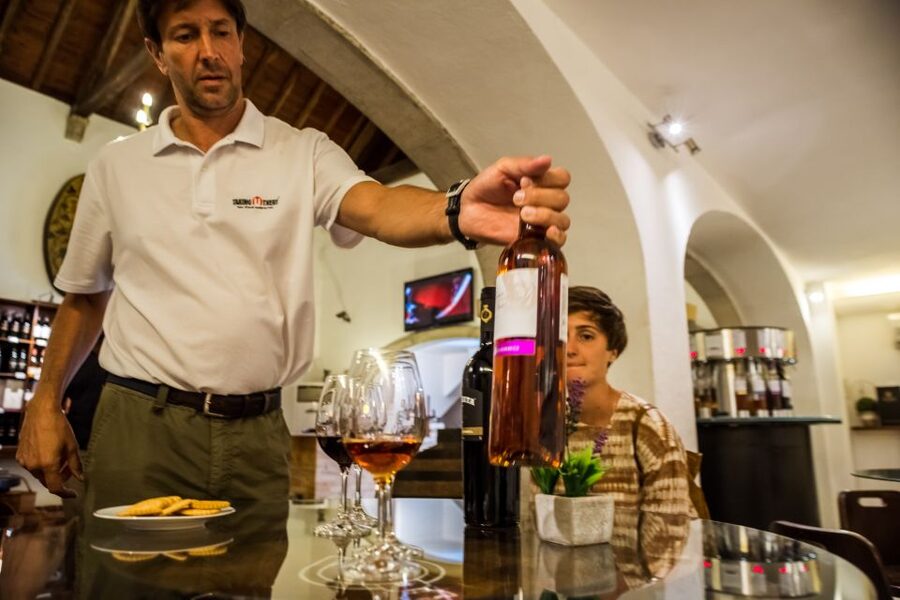 Lisbon Private Setúbal Region Wine Tasting Tour - Your two tour choices: more wine or a full lunch