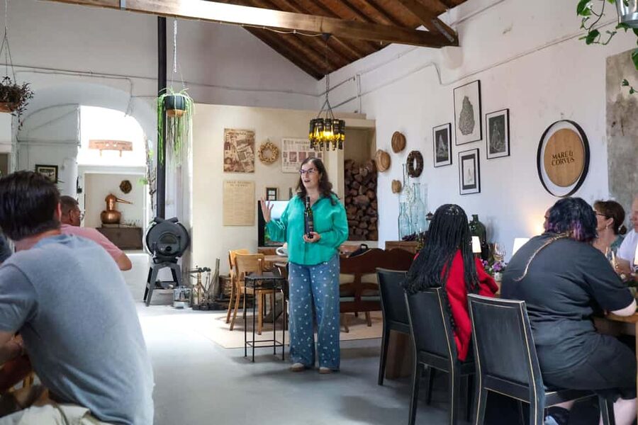 Lisbon: Sintra, Pena Palace & Wine Tasting Small-Group Tour - Colares wine tasting in a working cellar setting