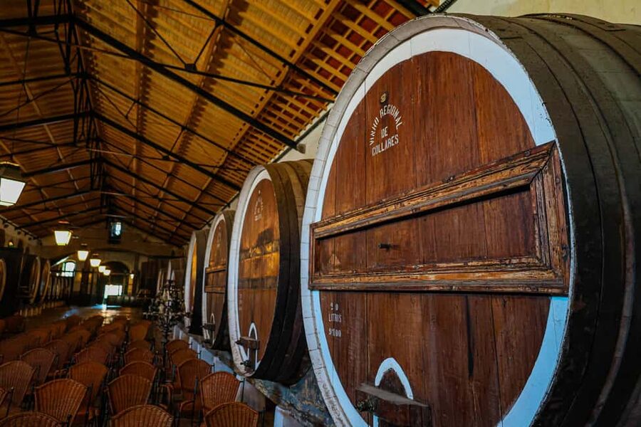 Lisbon: Sintra, Pena Palace & Wine Tasting Small-Group Tour - Is $93 a fair price?