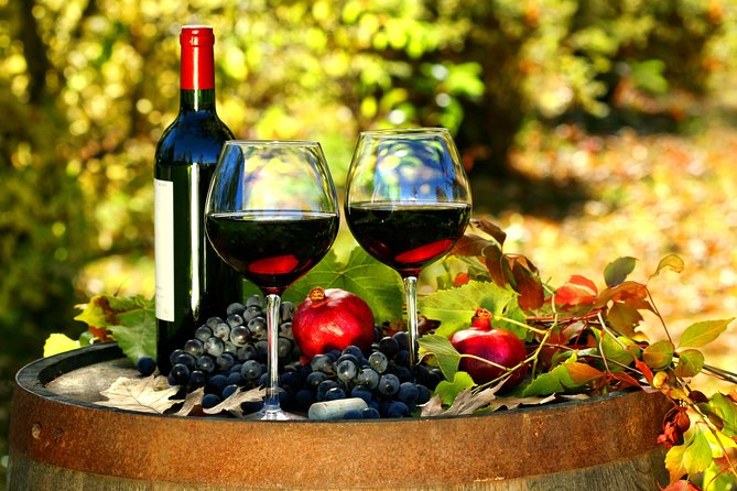 Livorno Shore Excursion: Chianti and Tuscany Countryside Private Wine Tour - A private tour with a real timing advantage