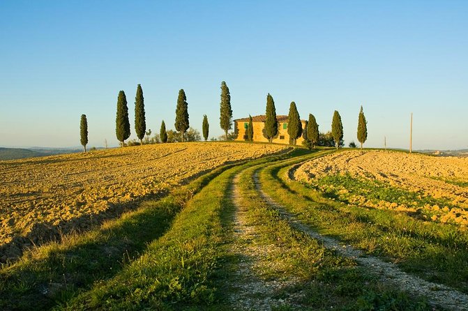 Livorno Shore Excursion: Chianti and Tuscany Countryside Private Wine Tour - Should you book this Chianti shore excursion?