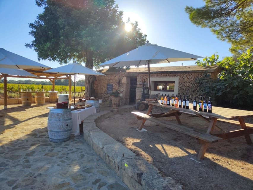 Llucmajor: Bodegas Bordoy Wine Tour - The five-wine tasting and local food