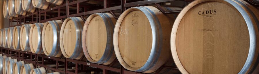 Llucmajor: Bodegas Bordoy Wine Tour - What happens during the 90-minute visit
