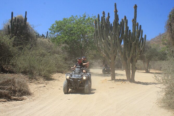 Los Cabos Beach & Desert Tour in Automatic ATV + Tequila Tasting - Is this suitable for beginners and families?