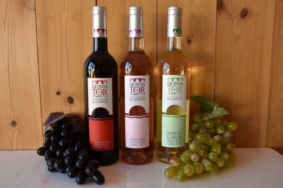 Loulé: Quinta da Tôr Winery Guided Tour and Wine Tasting - A family winery outside Loulé