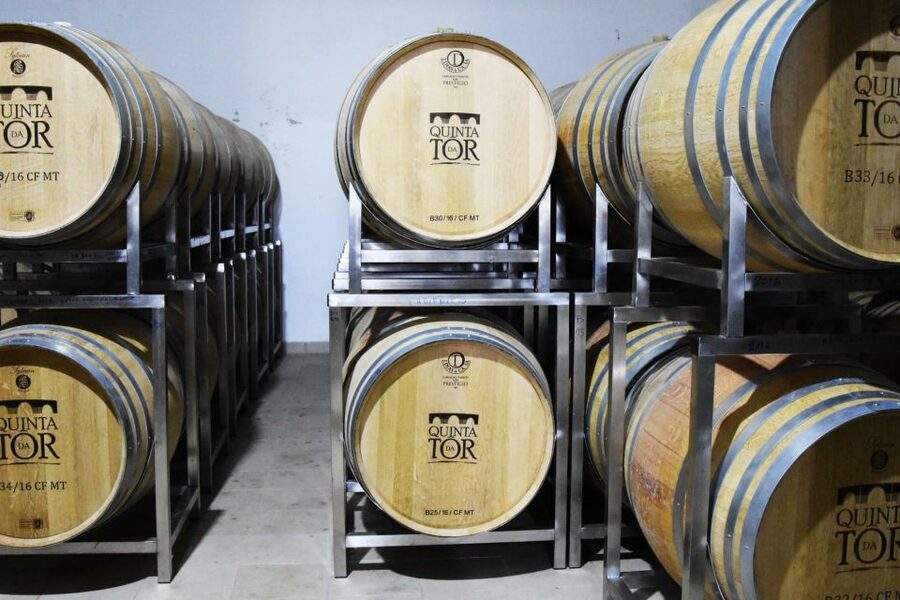 Loulé: Quinta da Tôr Winery Guided Tour and Wine Tasting - Who will enjoy Quinta da Tôr most
