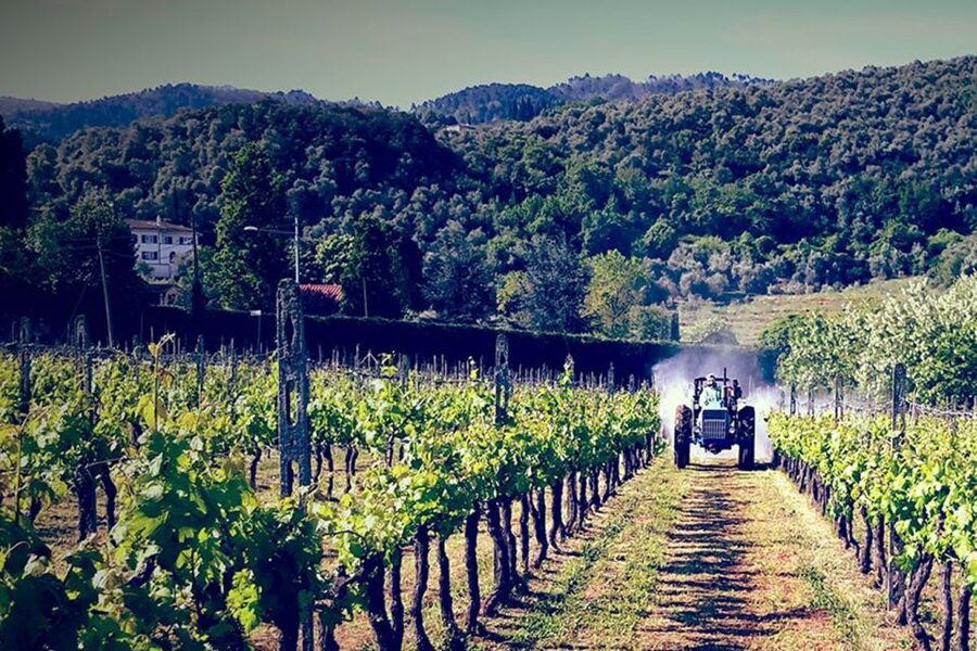 Lucca: Guided E-Bike and Wine Tour - Why this Lucca e-bike tour works so well