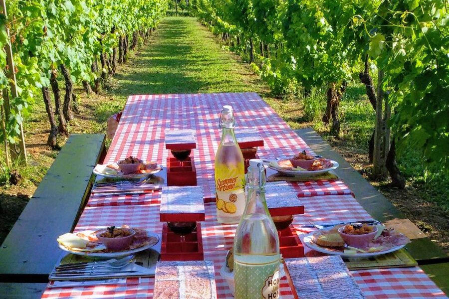 Lucca: Guided E-Bike and Wine Tour - The tasting is closer to lunch than a token snack