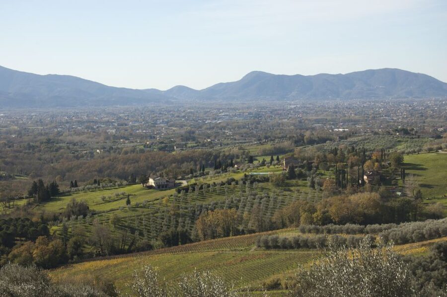 Lucca: Guided E-Bike and Wine Tour - Timing, meeting point, and value