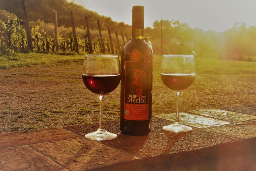 Lucca: Guided E-Bike and Wine Tour - Riding above Lucca’s old town
