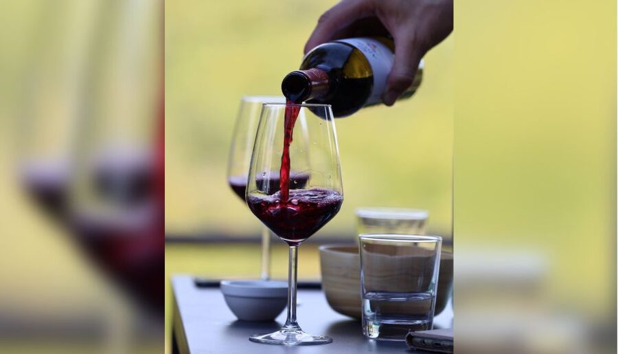 Lucca: Guided Winery Tour with Wine Tasting - Walking among vines and olive trees