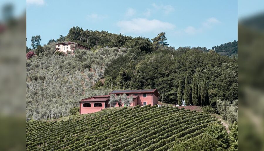 Lucca: Guided Winery Tour with Wine Tasting - Getting to Tenuta Adamo from Lucca