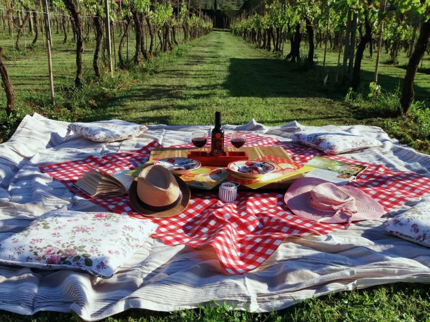 Lucca: Picnic Lunch at a Vineyard by Bike - Leaving Lucca by bike instead of bus