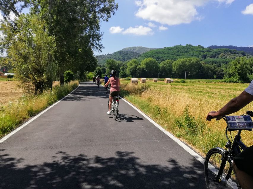 Lucca: Picnic Lunch at a Vineyard by Bike - A vineyard picnic among the vines